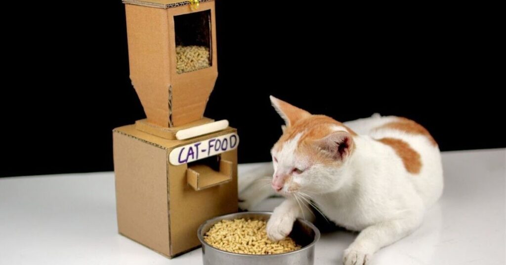 A person gently pets a cat on the floor, showcasing the bond between humans and their pets with Creative Bologna Treats for Cats.
