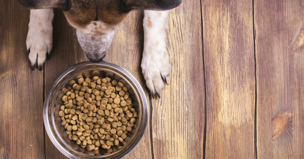 A dog enjoying a meal from a bowl on a wooden floor, illustrating the concept of Understanding Vienna Sausage Ingredients.
