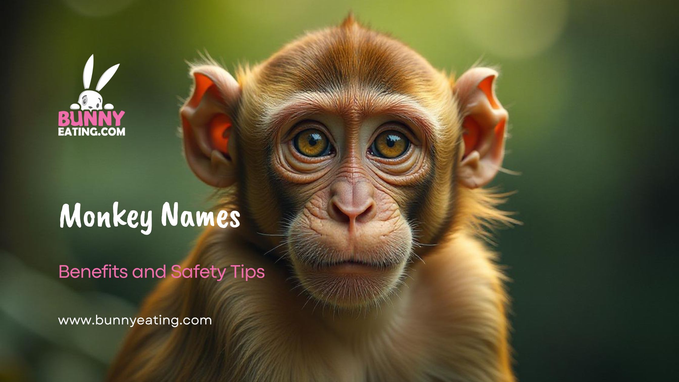 Monkey Names