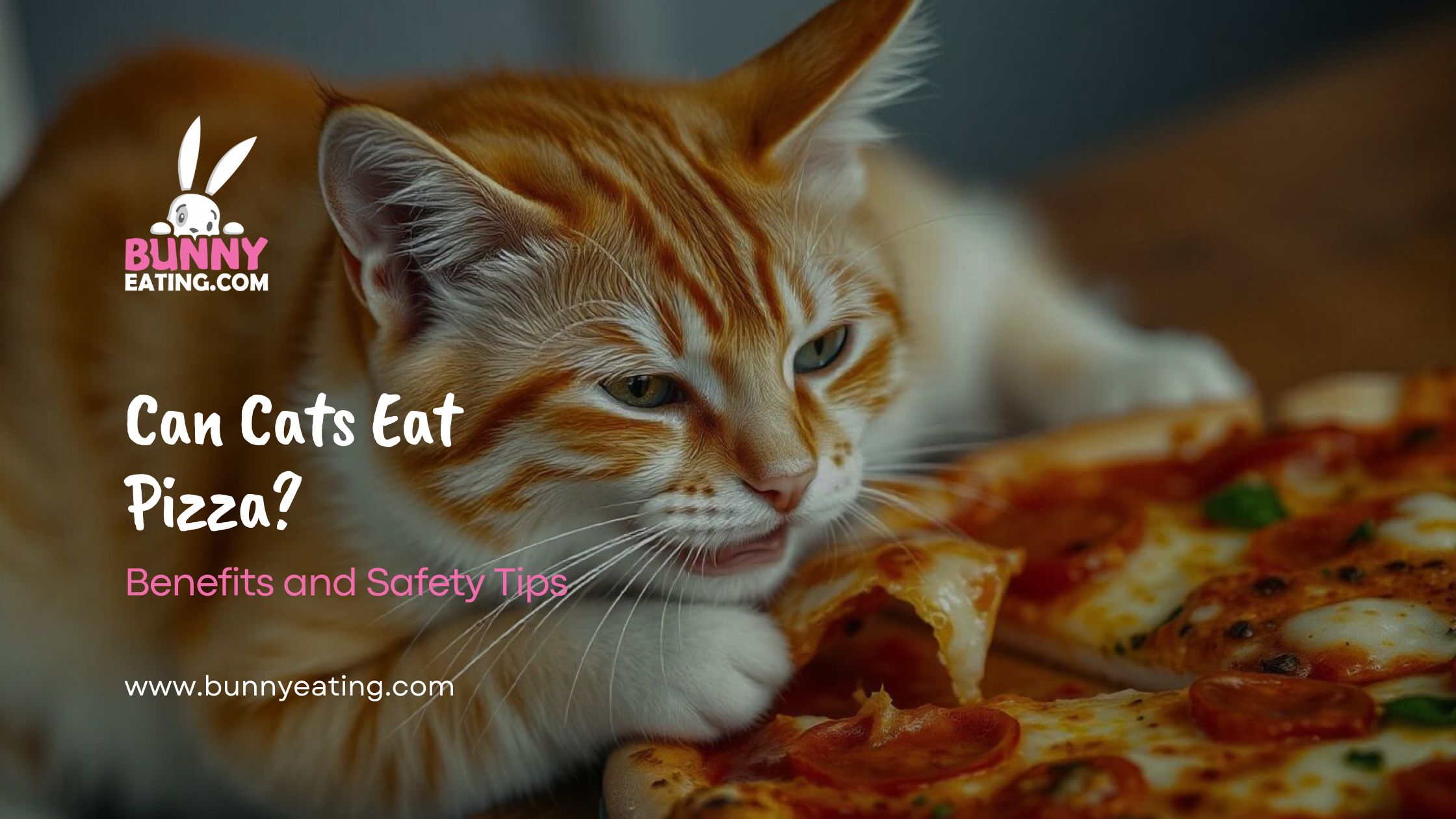 Can Cats Eat Pizza?