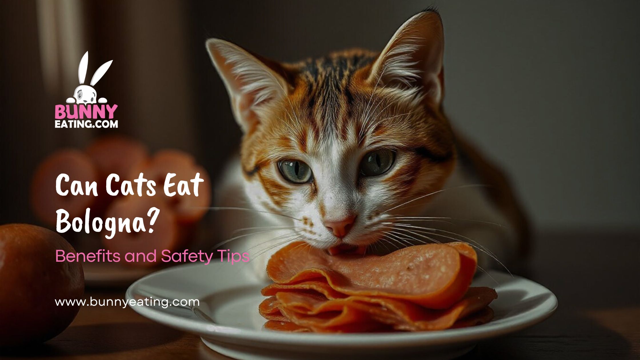 Can Cats Eat Bologna?