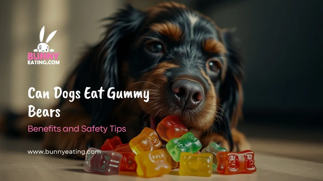 Can Dogs Eat Gummy Bears