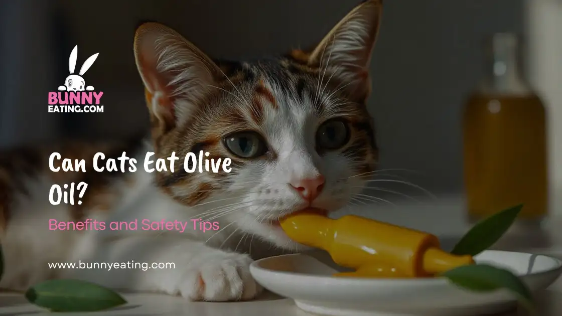 Can Cats Eat Olive Oil?