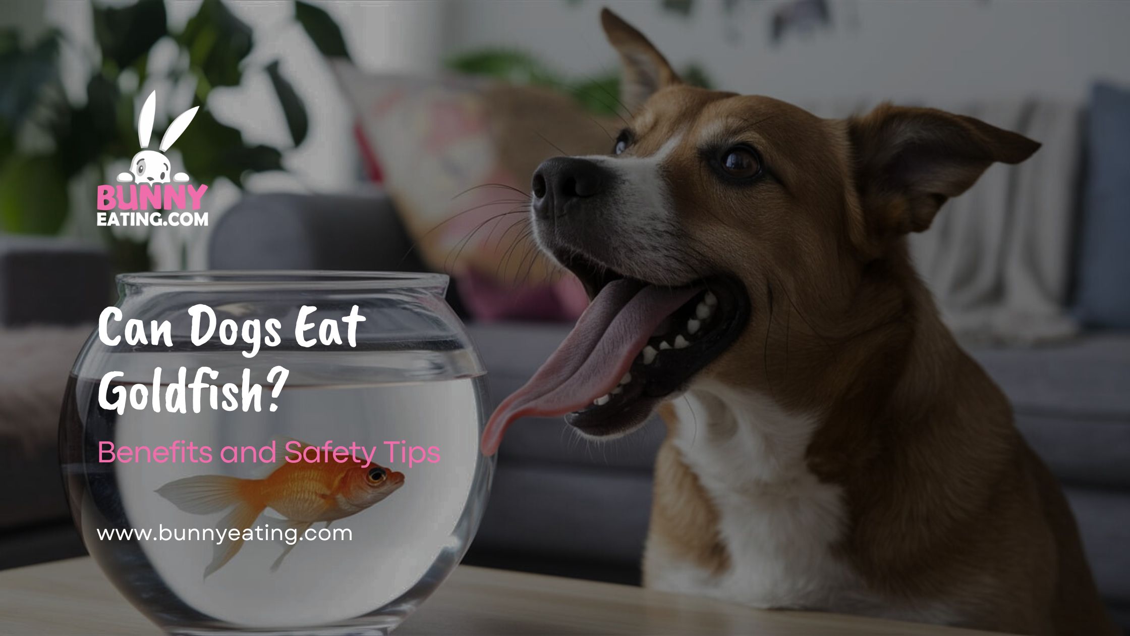 Can Dogs Eat Goldfish?