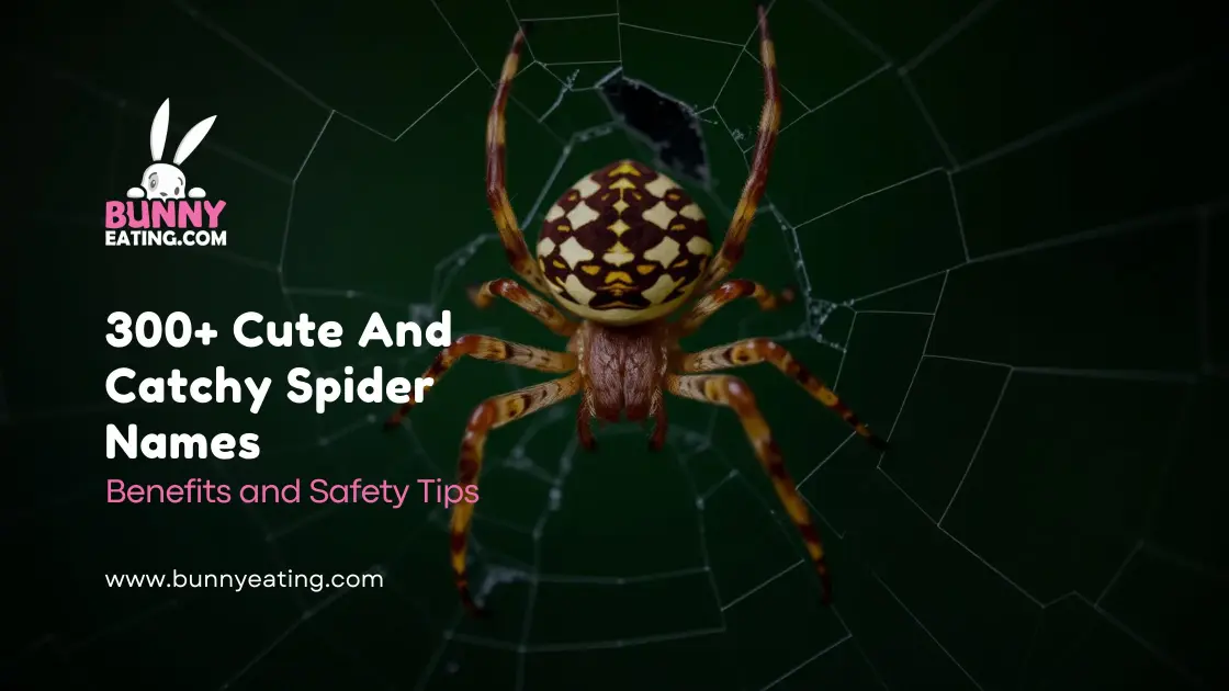 300+ Cute And Catchy Spider Names