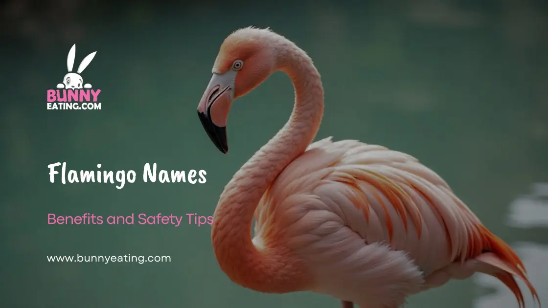 Flamingo Names