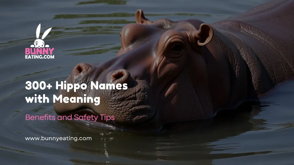 300+ Hippo Names with Meaning