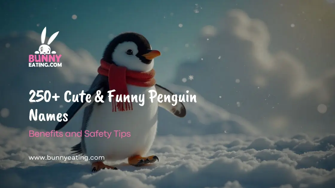 250+ Cute & Funny Penguin