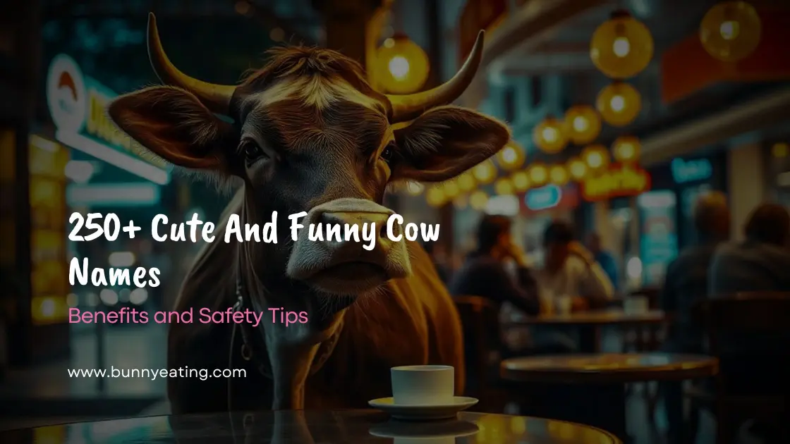 250+ Cute And Funny Cow Names