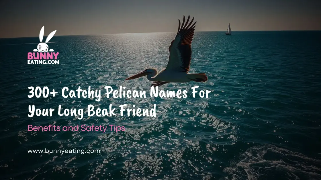 300+ Catchy Pelican Names For Your Long Beak Friend