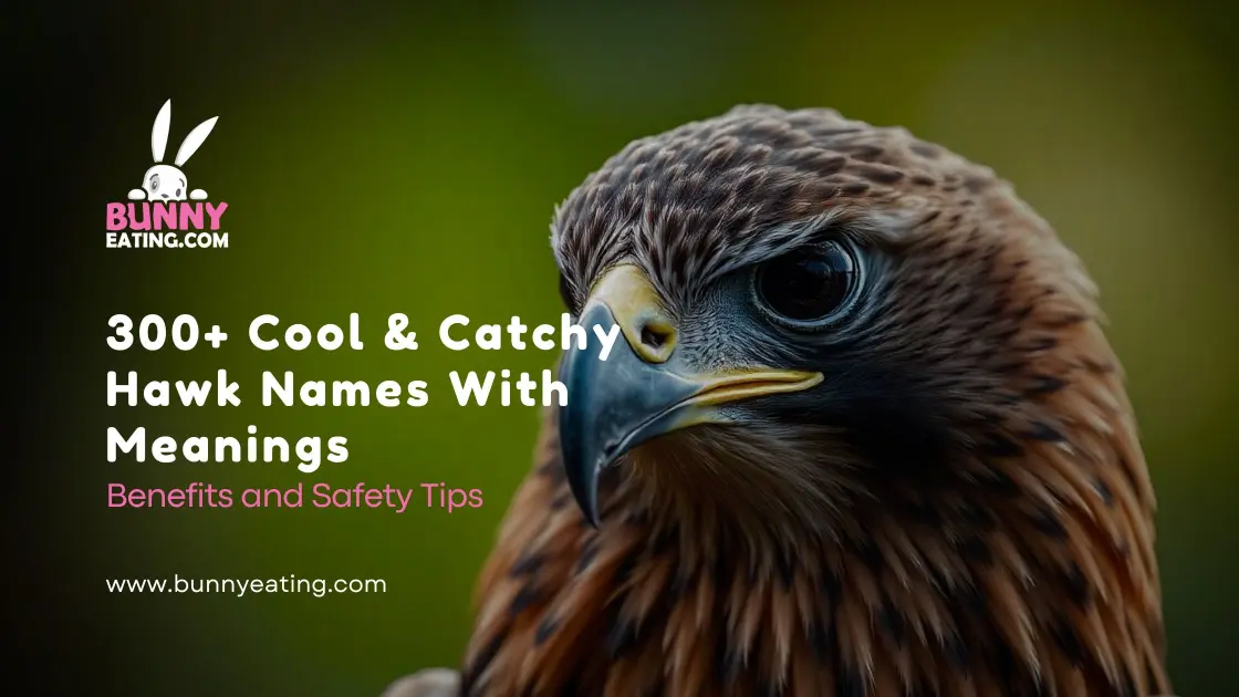 300+ Cool & Catchy Hawk Names With Meanings