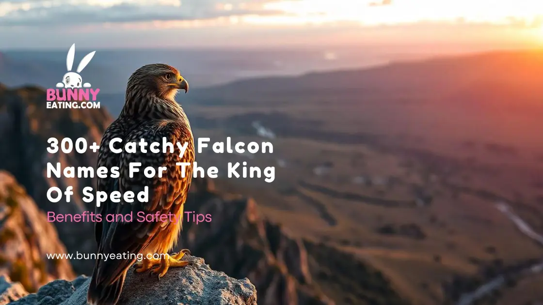 300+ Catchy Falcon Names For The King Of Speed