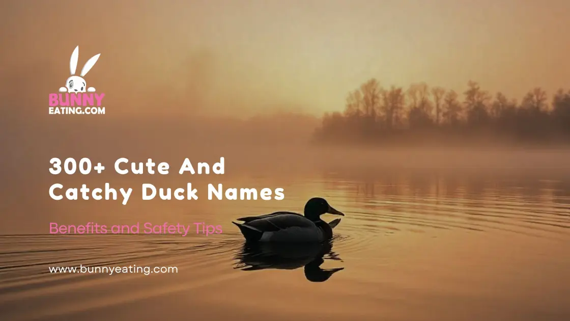 300+ Cute And Catchy Duck Names