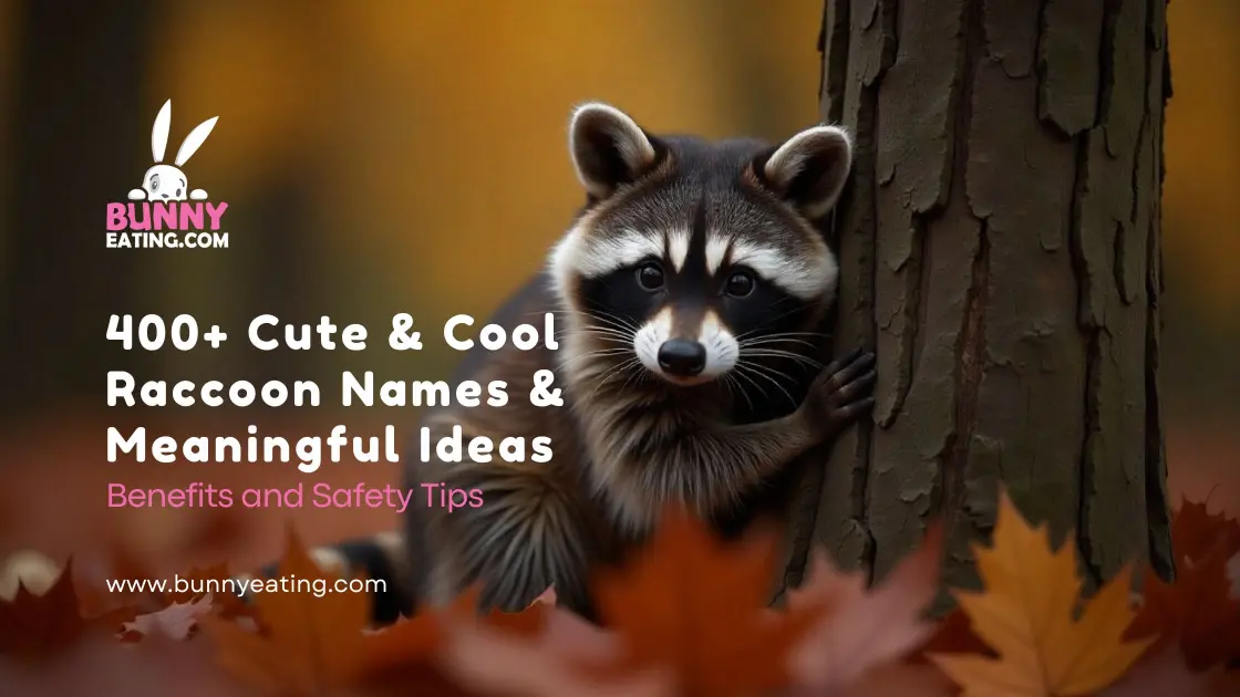 400+ Cute & Cool Raccoon Names & Meaningful Ideas