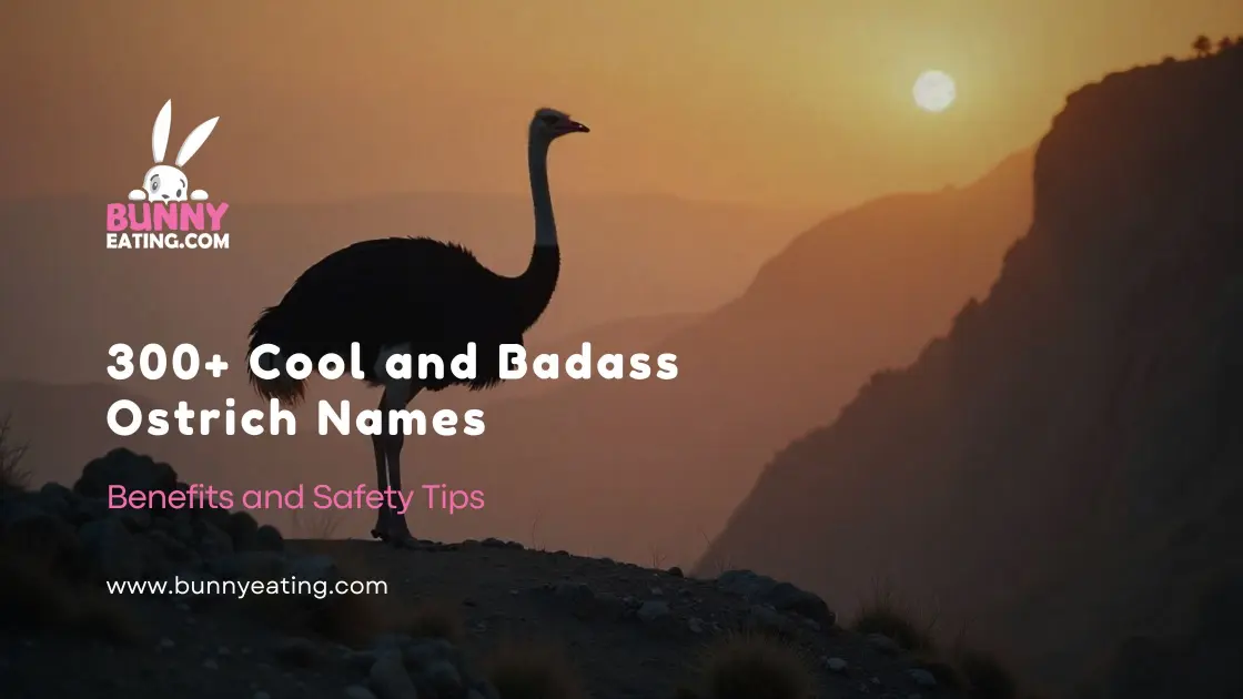 300+ Cool and Badass Ostrich Names