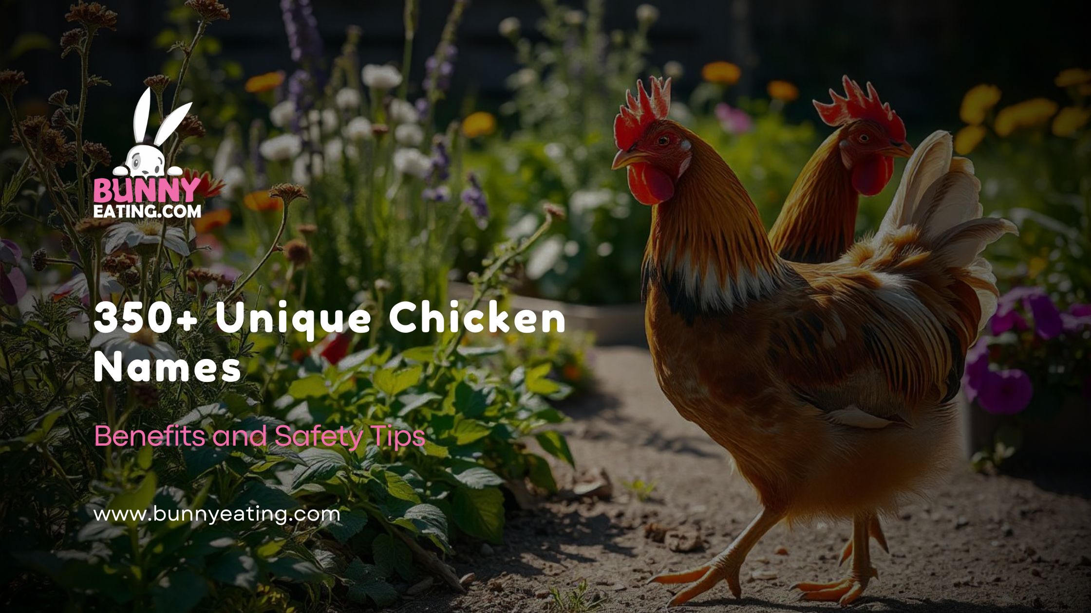 350+ Unique Chicken Names