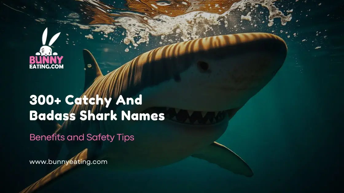 300+ Catchy And Badass Shark Names