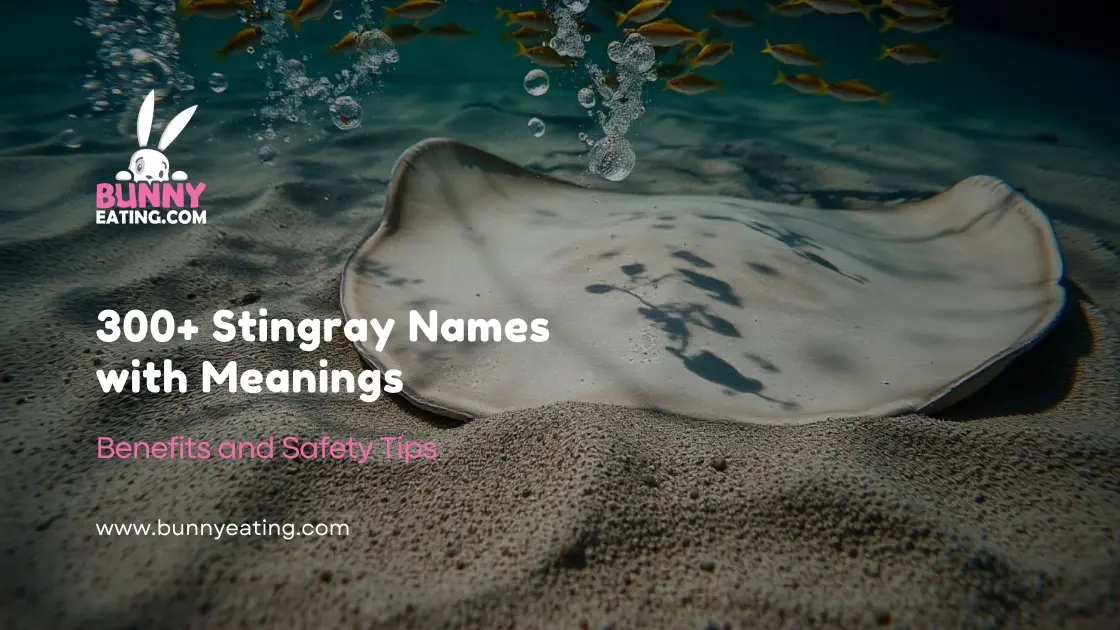 300+ Stingray Names with Meanings