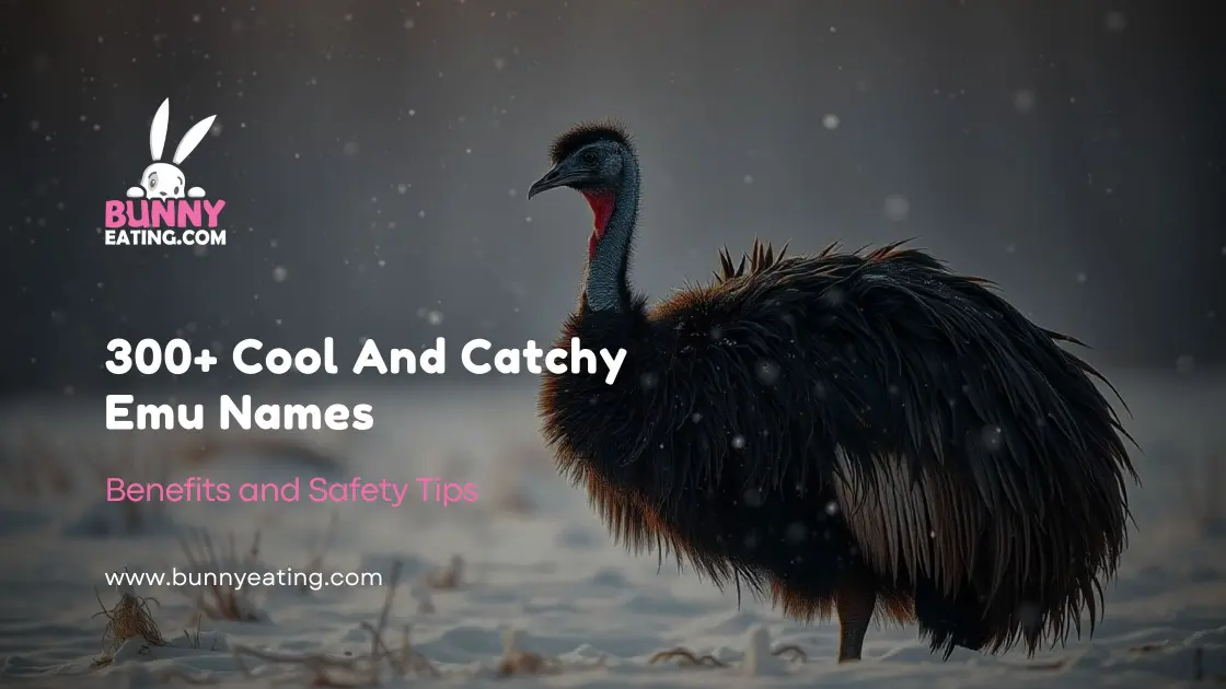 300+ Cool And Catchy Emu Names