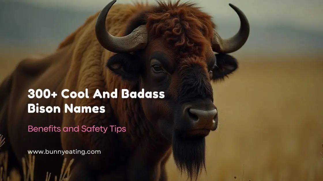 300+ Cool And Badass Bison Names