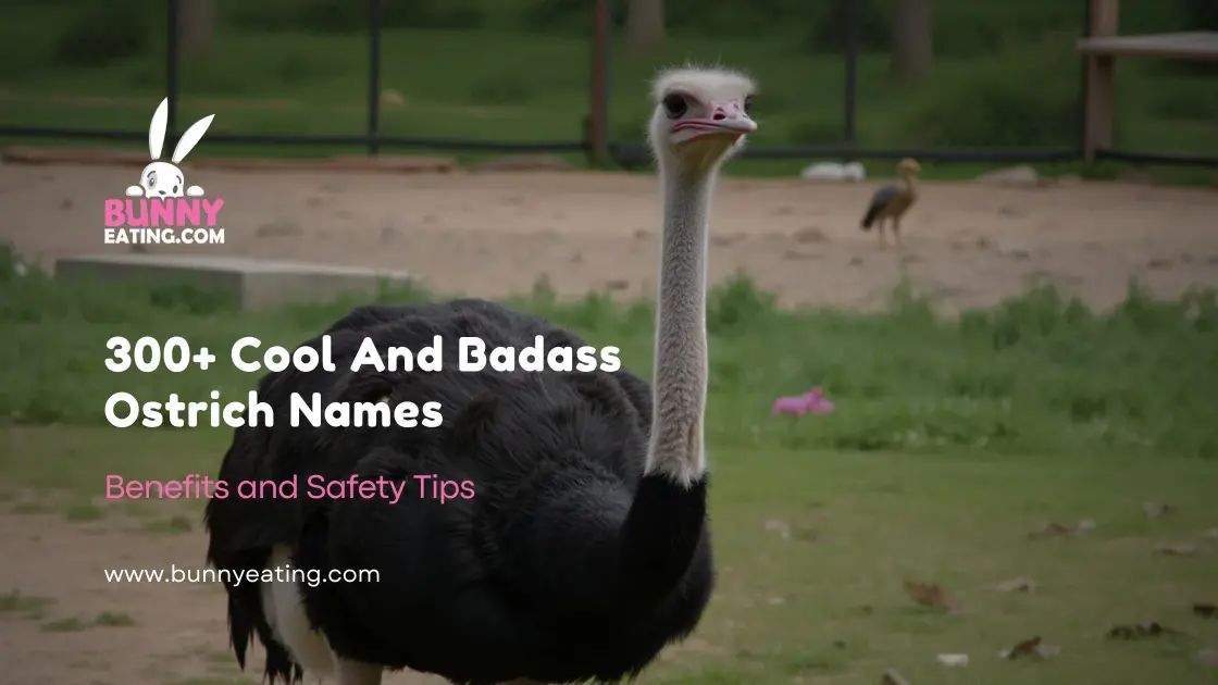 300+ Cool And Badass Ostrich Names