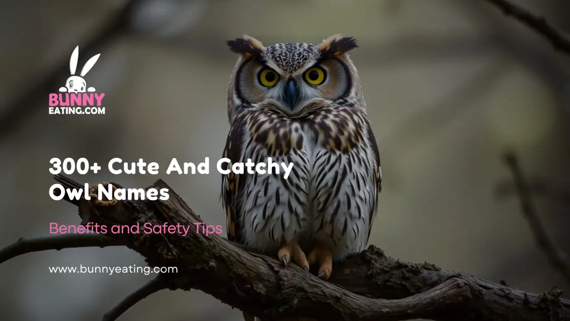 300+ Cute And Catchy Owl Names