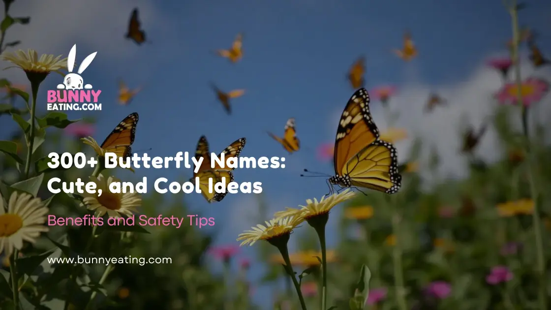 300+ Butterfly Names: Cute, and Cool Ideas