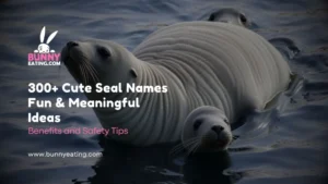 300+ Cute Seal Names Fun & Meaningful Ideas