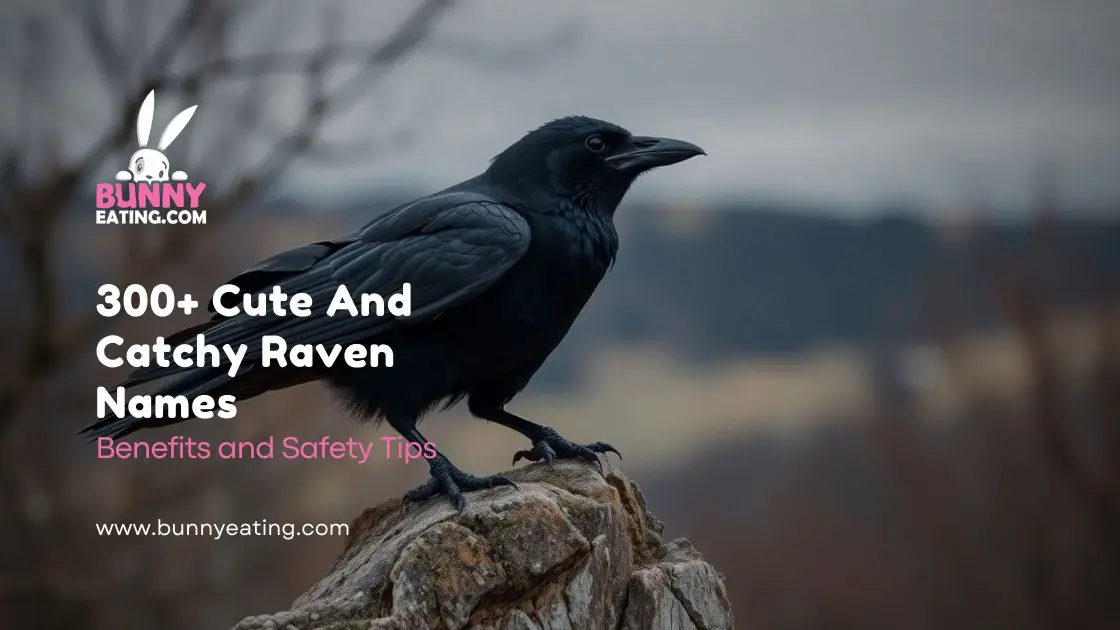 300+ Cute And Catchy Raven Names