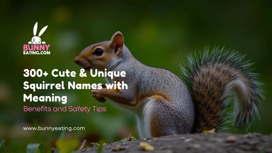 300+ Cute & Unique Squirrel Names with Meaning