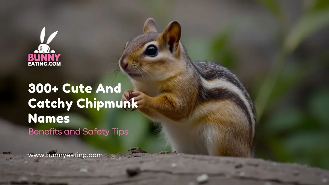 300+ Cute And Catchy Chipmunk Names