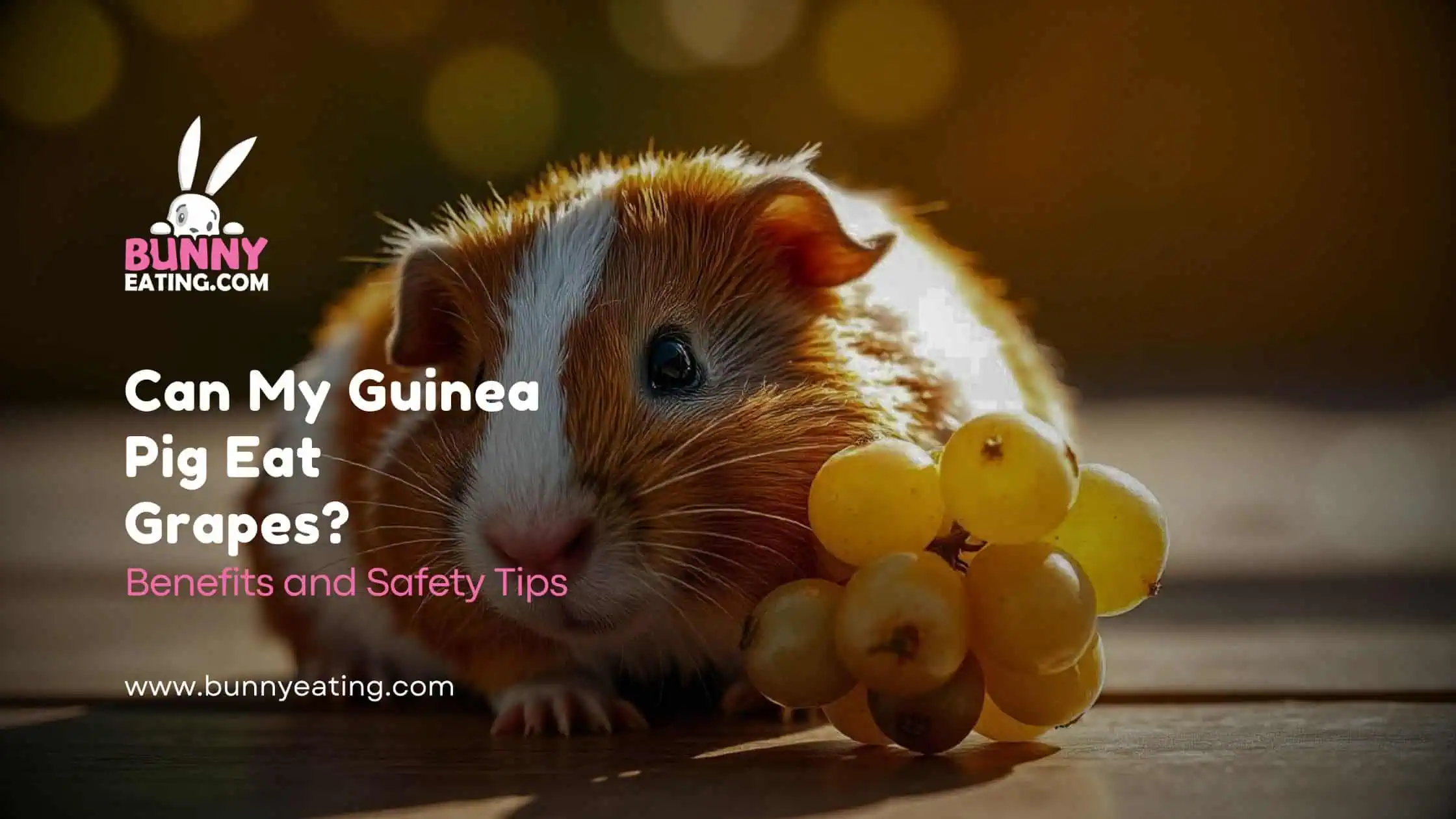 Can My Guinea Pig Eat Grapes?