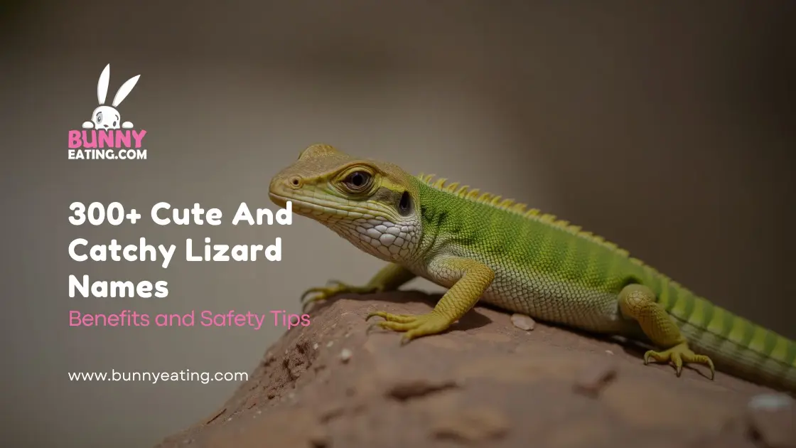 300+ Cute And Catchy Lizard Names