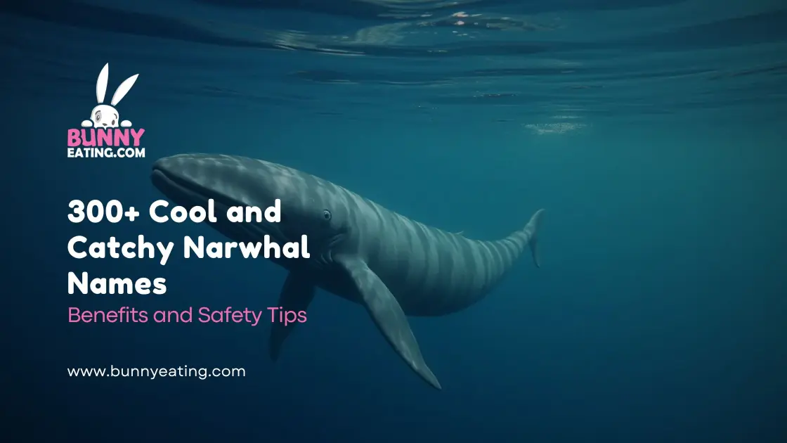 300+ Cool and Catchy Narwhal Names