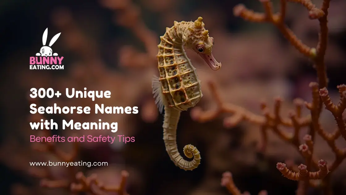 300+ Unique Seahorse Names with Meaning