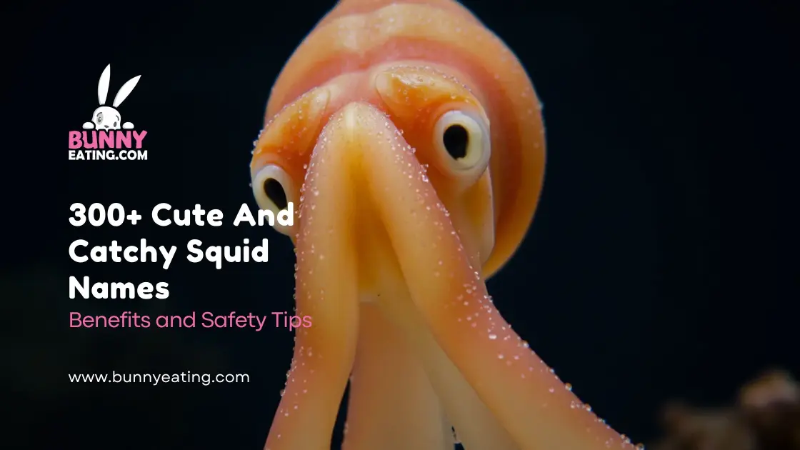 300+ Cute And Catchy Squid Names