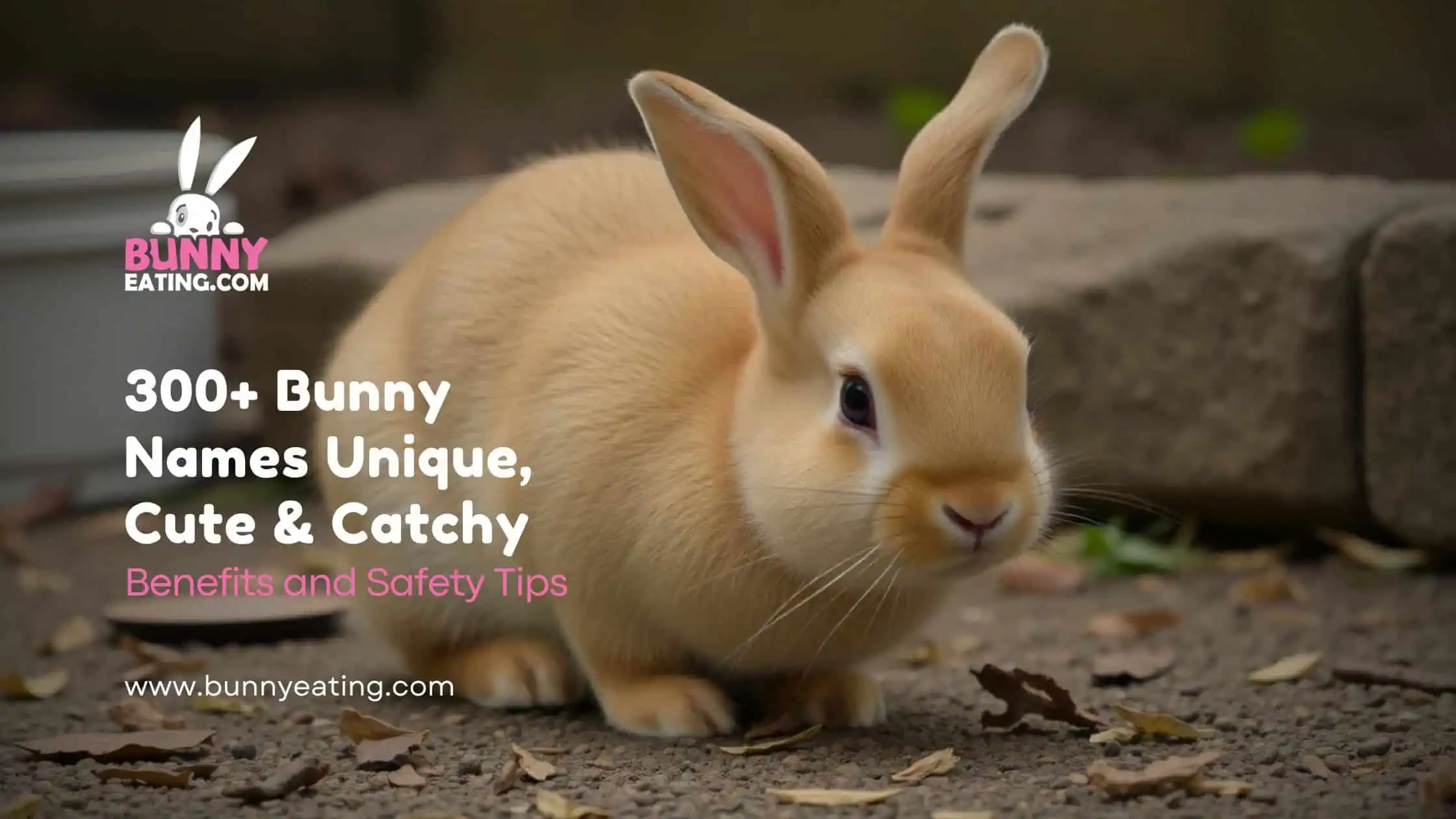 300+ Bunny Names Unique, Cute & Catchy