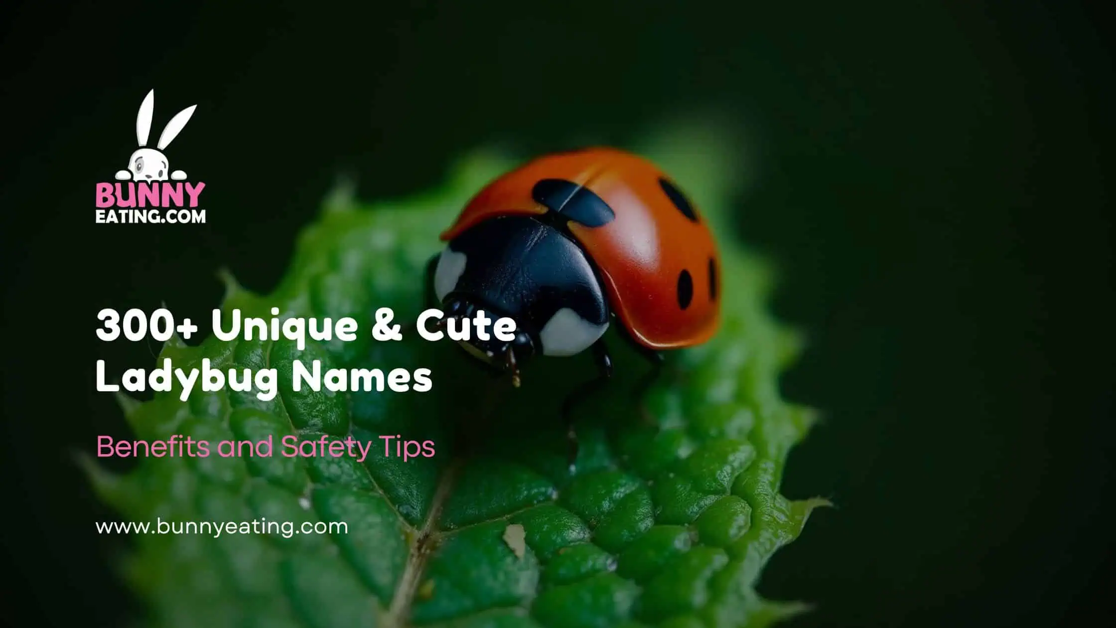 300+ Unique & Cute Ladybug Names With Meaningful Ideas