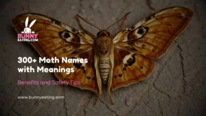 300+ Moth Names with Meanings