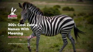 300+ Cool Zebra Names With Meaning