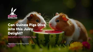 Watermelon Wonders: Can Guinea Pigs Dive into this Juicy Delight?