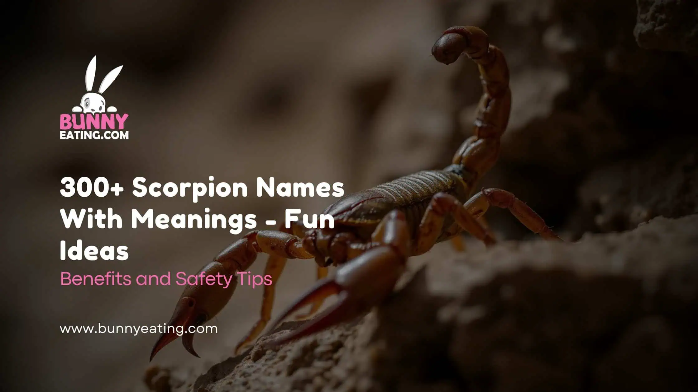 300+ Scorpion Names With Meanings - Fun Ideas