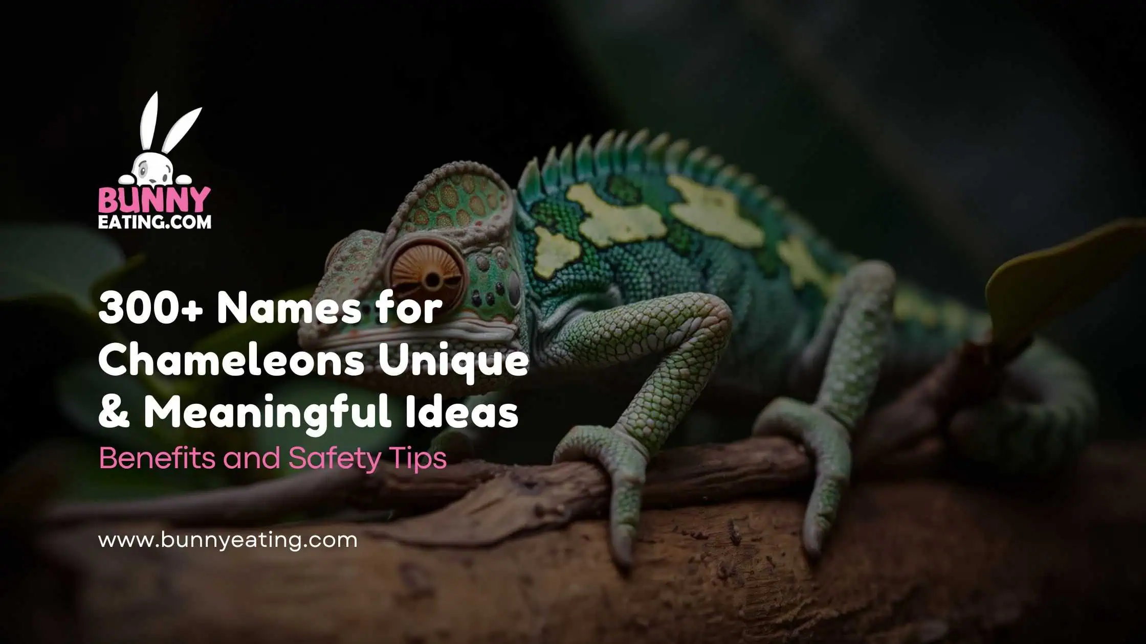 300+ Names for Chameleons Unique & Meaningful Ideas