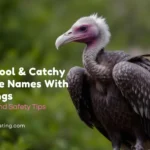 300+ Cool & Catchy Vulture Names With Meanings