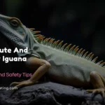 300+ Cute And Catchy Iguana Names