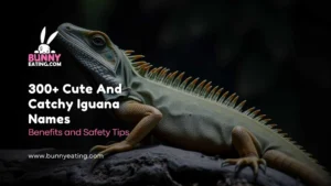 300+ Cute And Catchy Iguana Names