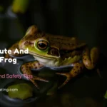 300+ Cute And Funny Frog Names