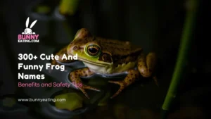 300+ Cute And Funny Frog Names