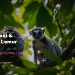 400+ Cool & Unique Lemur Names With Meaningful Ideas