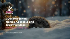 300+ Hedgehog Names Adorable and Creative Ideas